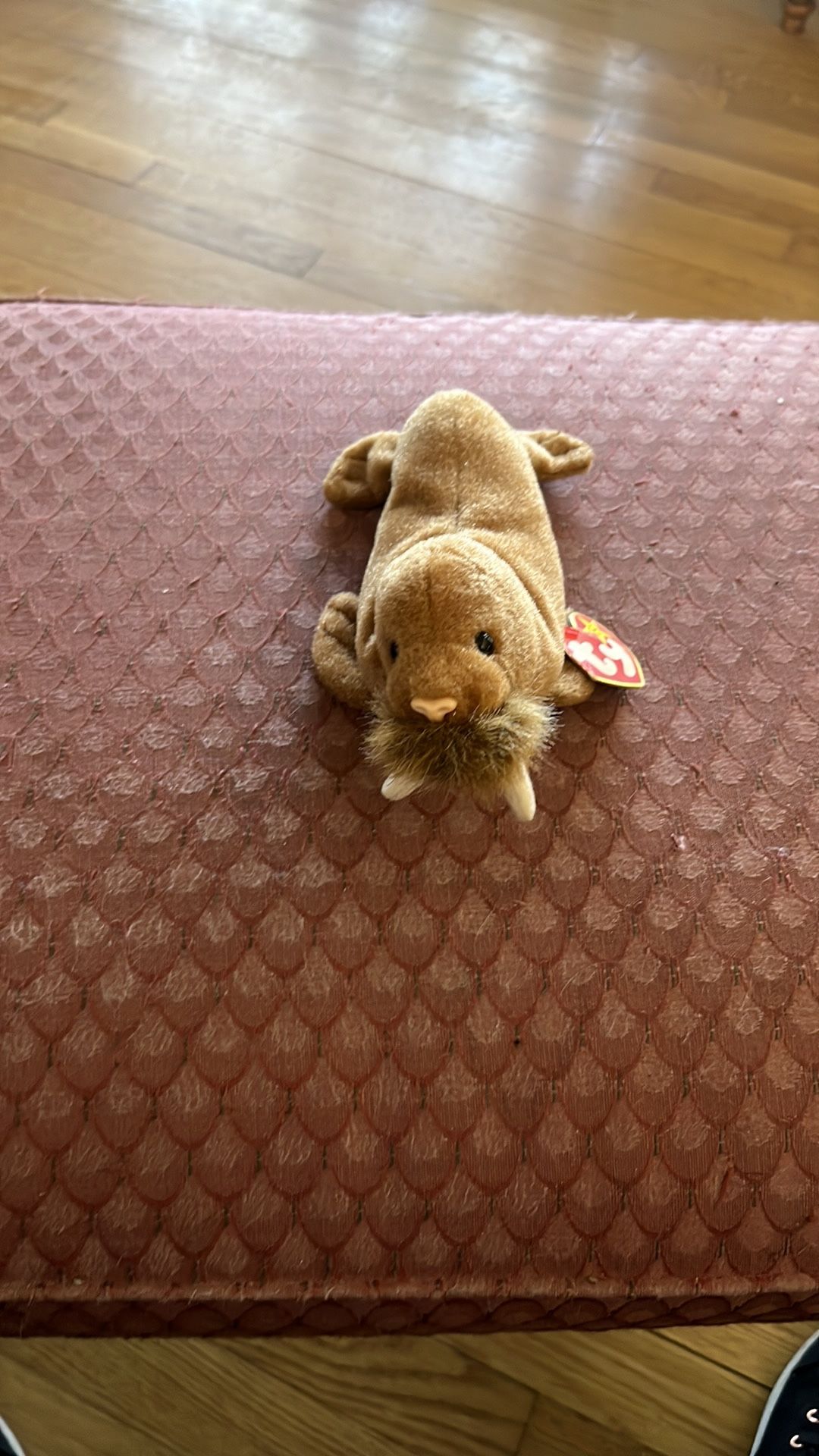 Ty Beanie Baby Paul the Walrus