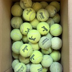Tennis Ball (51 Balls) All For $25