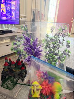 Plants and fish decoration and colorful glow rocks Betta food