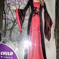 Halloween Costume Hooded Sorceress Size Medium 8/10
