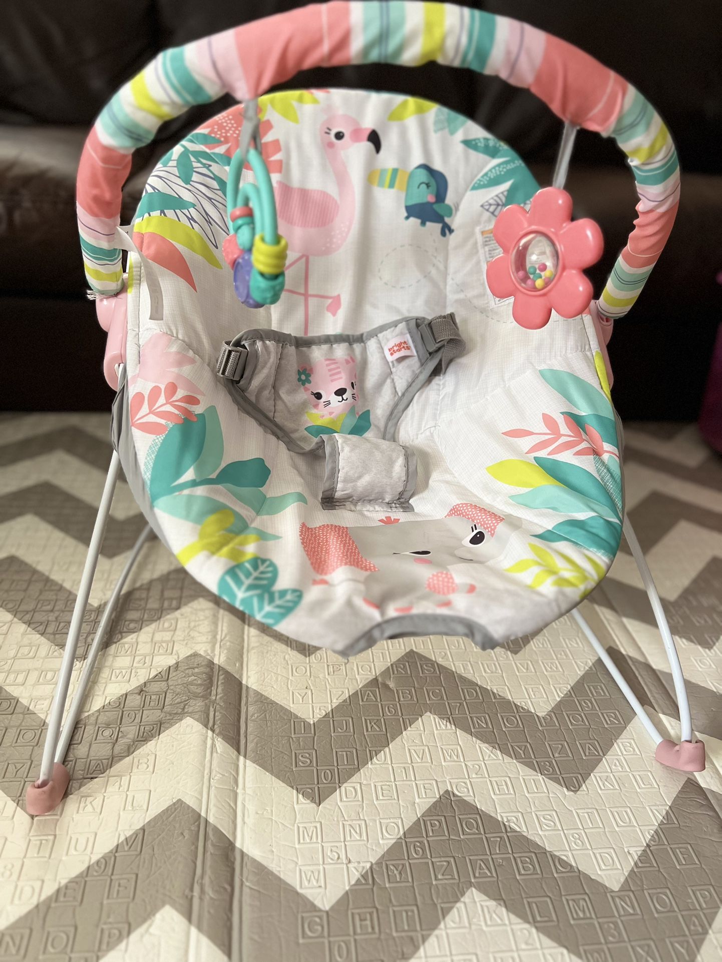 Bright Starts Baby Bouncer Soothing Vibrations Infant Seat - Removable-Toy  Bar, Nonslip Feet, 0-6 Months Up to 20 lbs (Flamingo Vibes, Pink) for Sale  in Chicago, IL - OfferUp