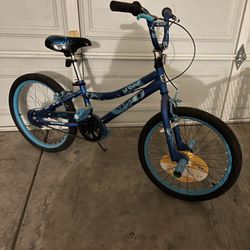 2  Cool Blue Bike