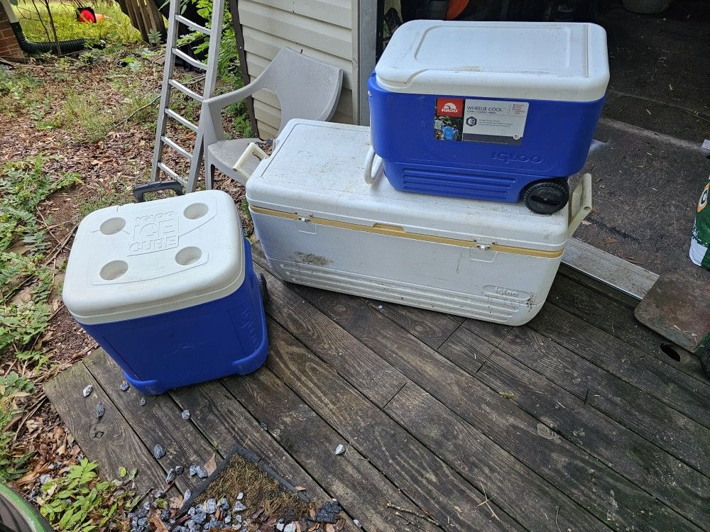 3 Igloo Coolers