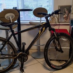 Mnt Bike 