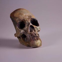 SKULL CLAY HAND BUILT