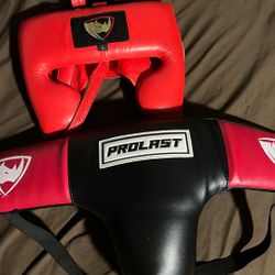 Pro Last Boxing Cup And Head Gear 