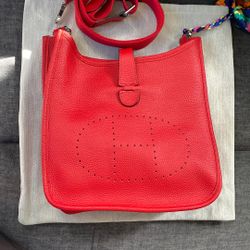 Niche Red Bag