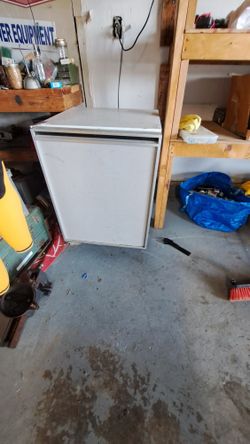 Small Fridge for future Kegerator/lager brewing