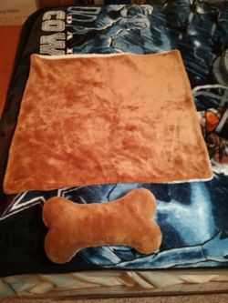 Doggie Blanket and Pillow