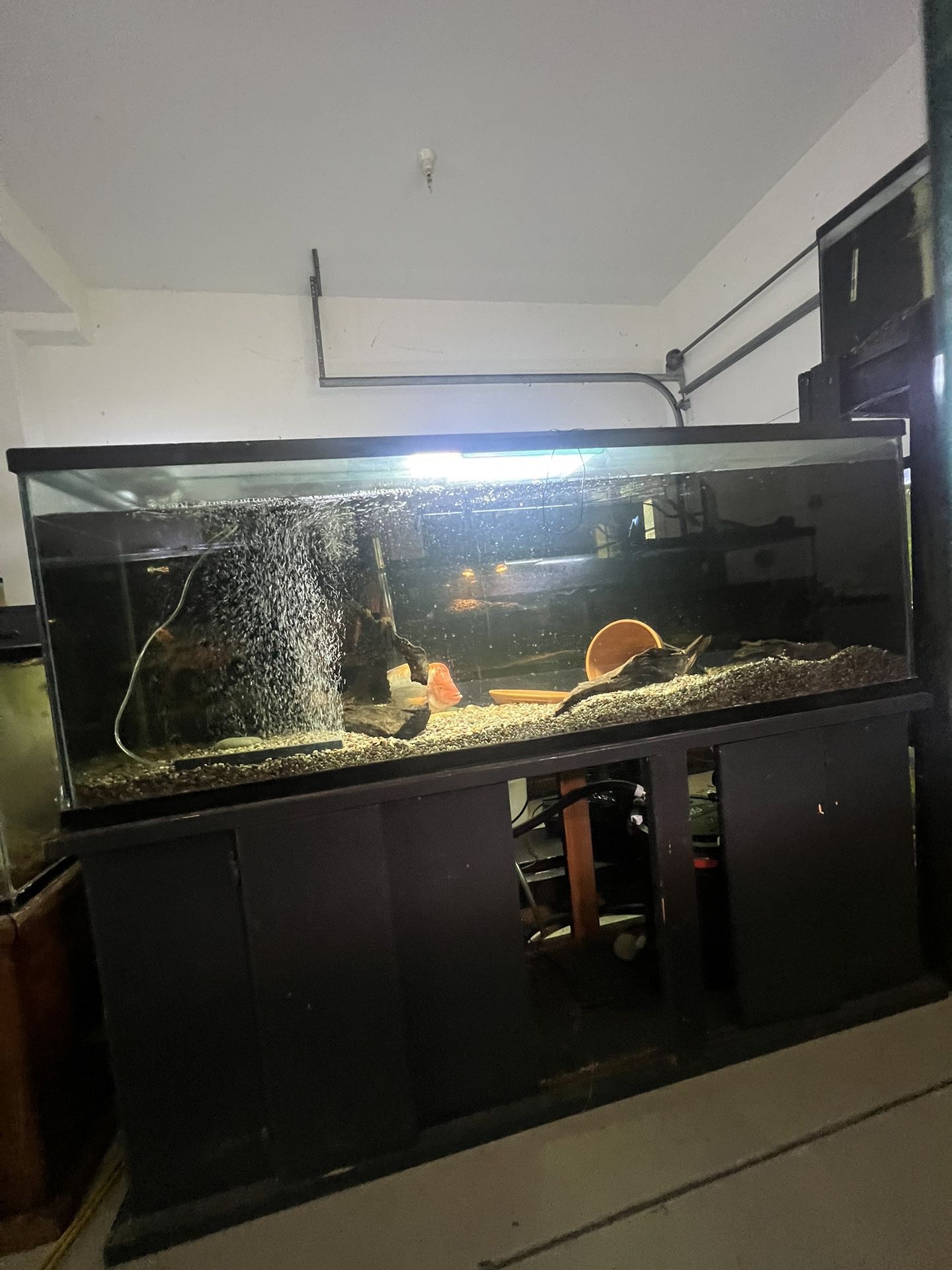 150 Gallon Fish Tank Aquarium 