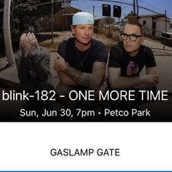 Blink 182 Petco park Concert