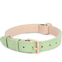 Light Green Dog Collar For AirTag 