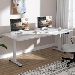 Large Electric Standing Desk