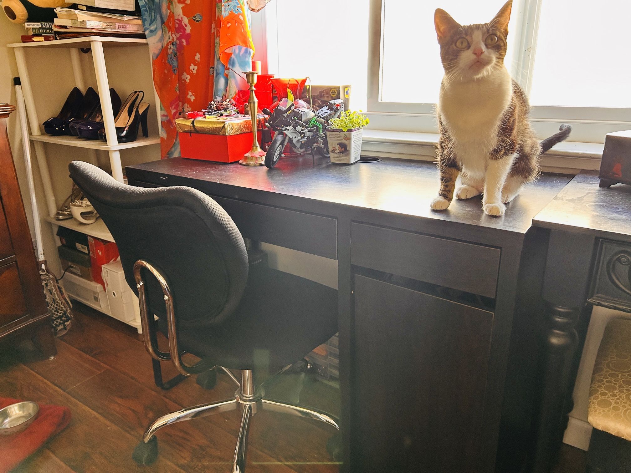 Desk and Rolling Chair