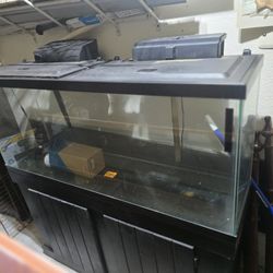 Fish Tank