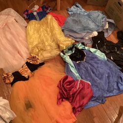All Of These Princesses Dresses 