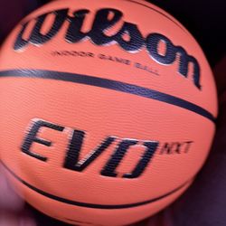 Wilson NCAA Evo 