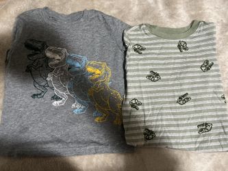 Toddler Dinosaur Shirts