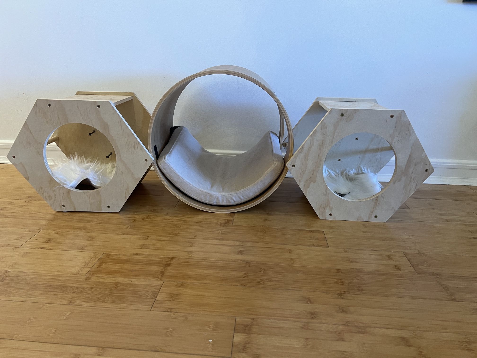 Cat Wall Cubbies