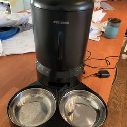 dual cat automatic feeder