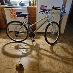 Work Out Bike