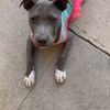 Samantha 