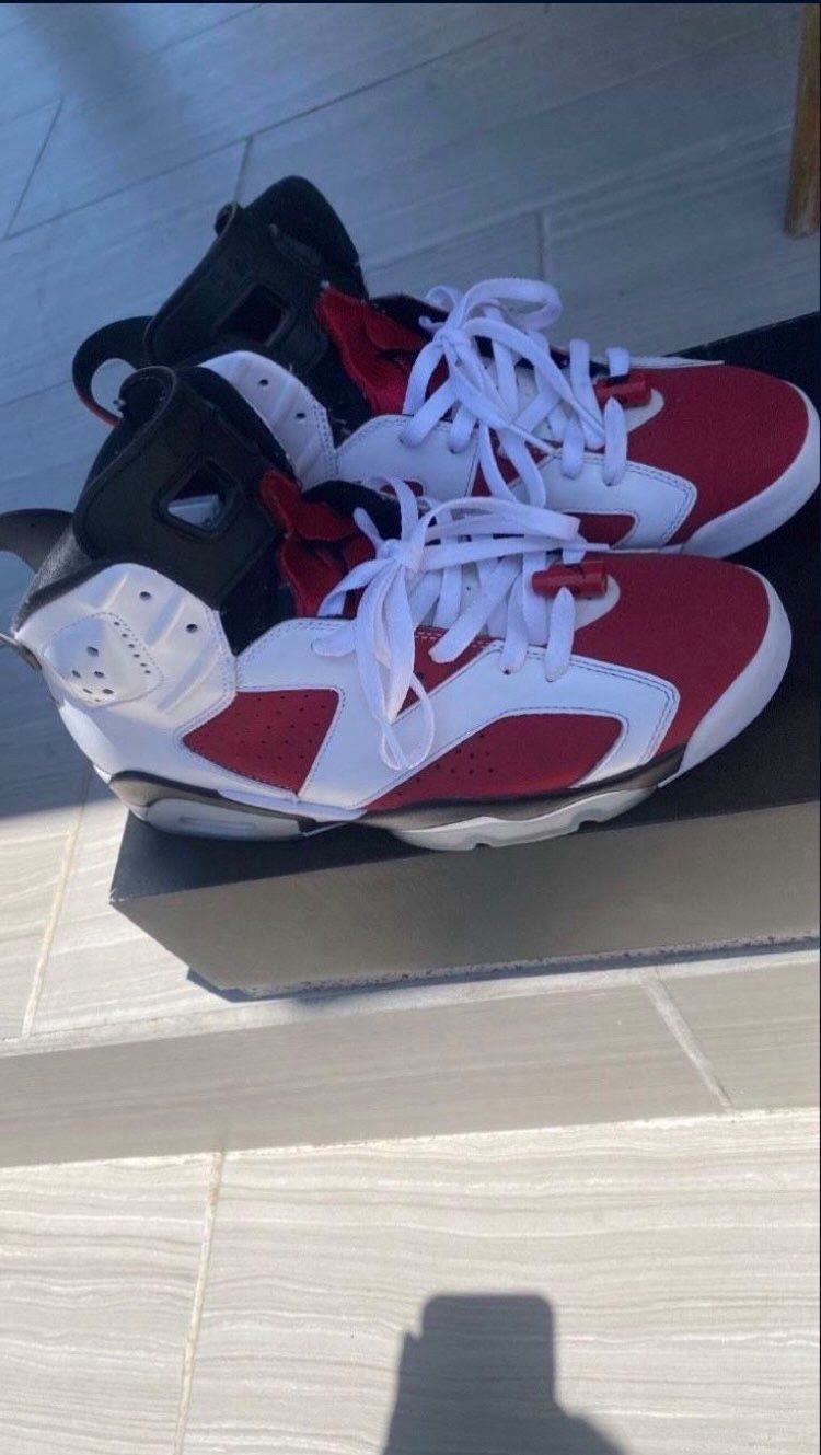 Jordan 6s Carmines