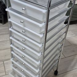 Rolling Cart Organizer $25 Great Condition