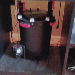 2 125 Gal Fish Tanks