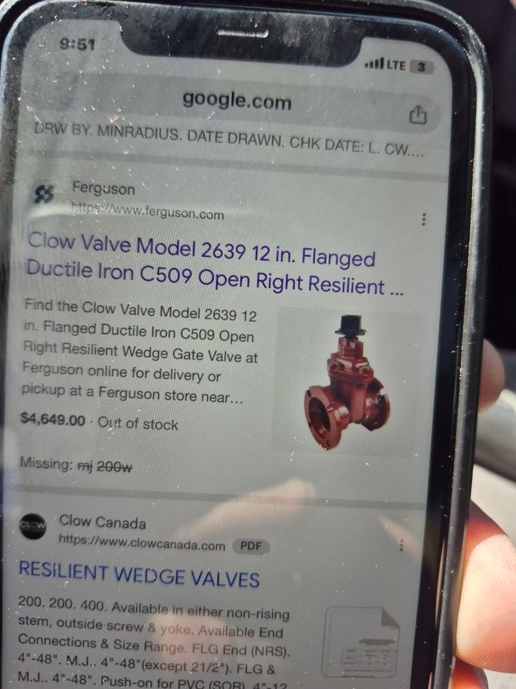 Gate Valve 12'