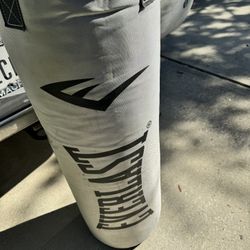 Everlast Punching Bag