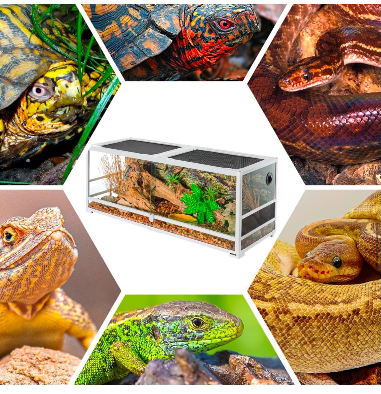 67 Gallon Glass Reptile Terrarium