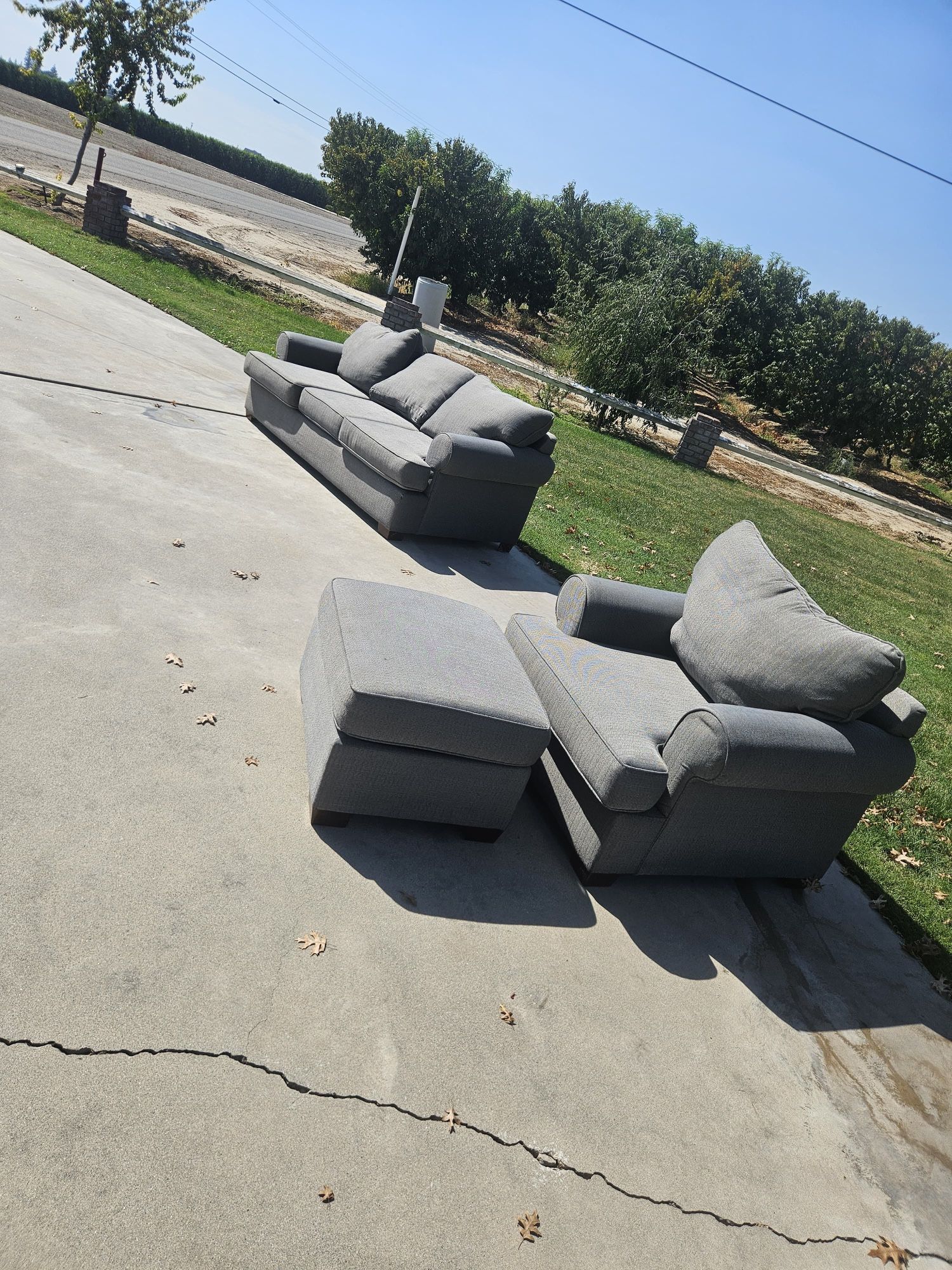 Couches