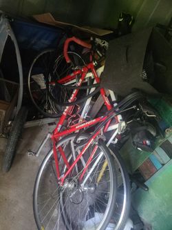 Bianci🚴🏿‍♀️🚴🏿‍♀️