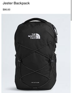 The northface Backpack