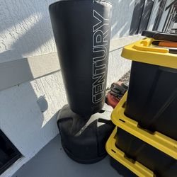 Century Punching Bag With Boxing Gloves