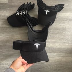 Tesla Custom Visors Black Brand New 10 Piece Bundle 