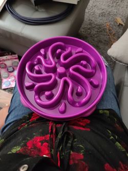 Outward Hound Fun Feeder Bowl