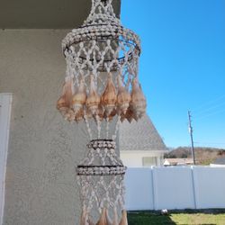 Small Shell Chandelier 