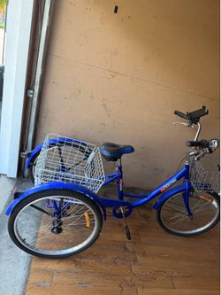 Pexmor tricycle