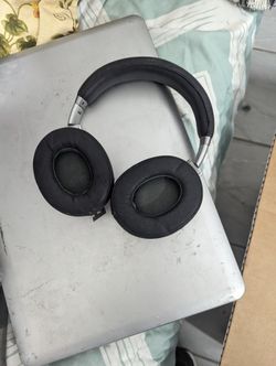 Beat Head Phones Wired