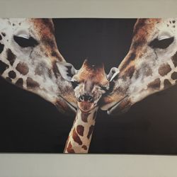 Giraffe Canvas picture 35x23in -$10.00