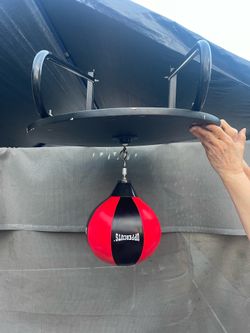 Everlast Boxing Speed bag with Mount