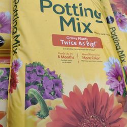 Potting Mix