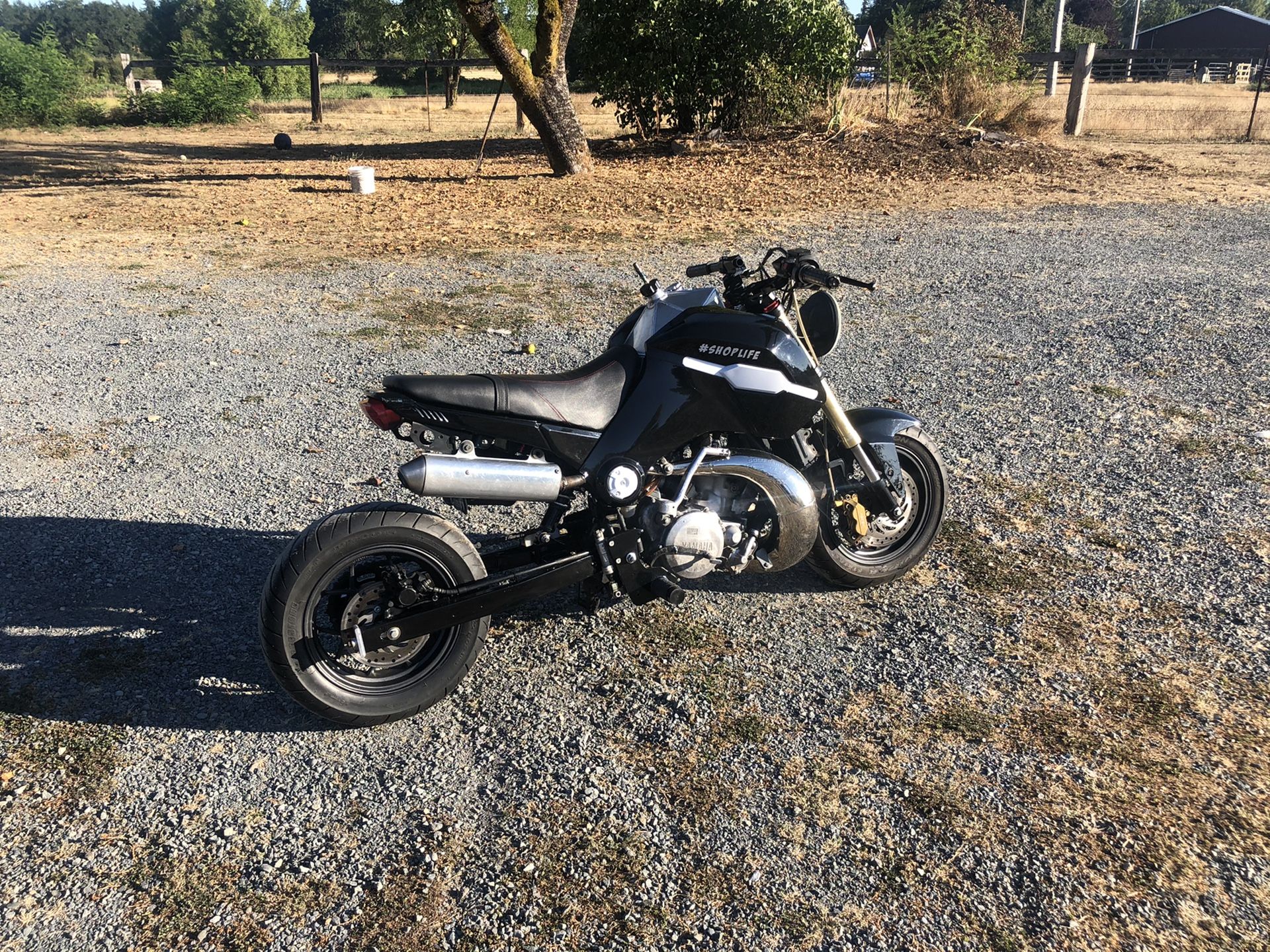 300cc grom kit
