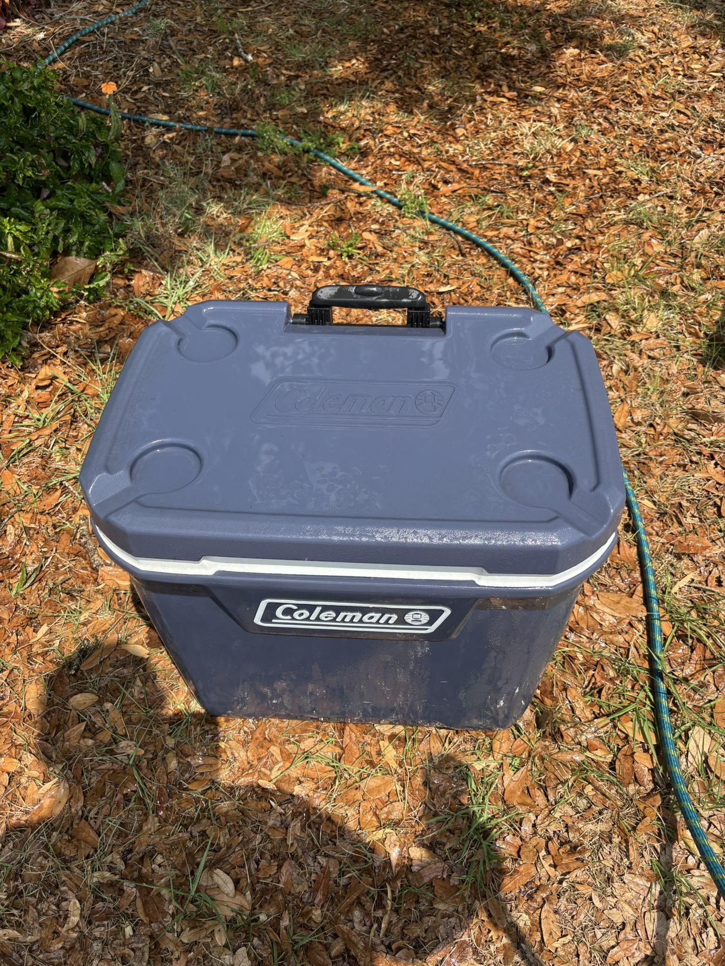 Coleman Cooler