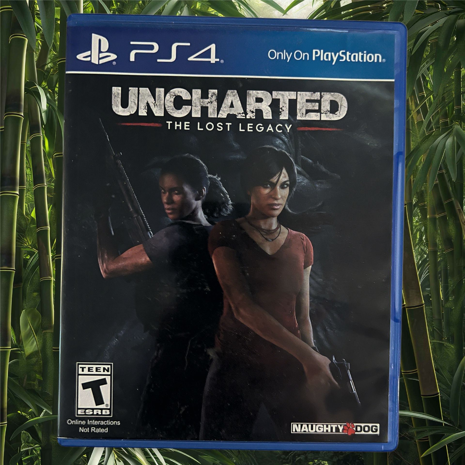 Uncharted The Lost Legacy PS4
