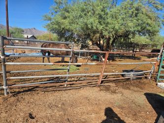 Heavy 16ft panels horses ect.