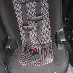 Cosco Car Seat