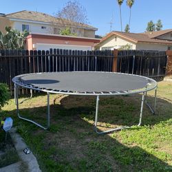 Trampoline